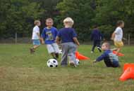 Training Jugend F
