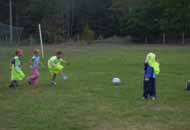 Training Jugend F