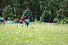 Sportfest 2011